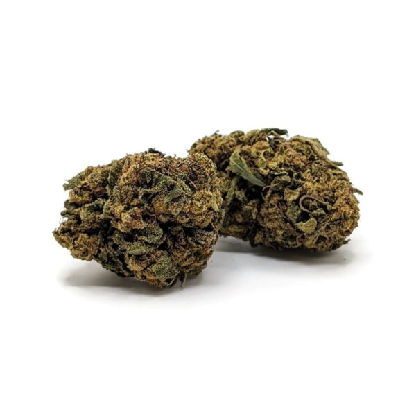 Buy Tropicanna Strain Online in Canada | Bare Cannabis