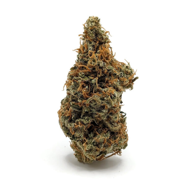 Buy Red Congo By Prohibition Farms AAAA+ at Barecannabis | Best Weed Online