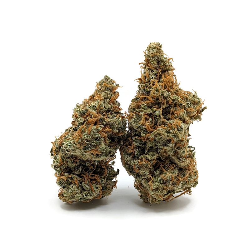 Buy Red Congo By Prohibition Farms AAAA+ Online in Canada | Bare Cannabis