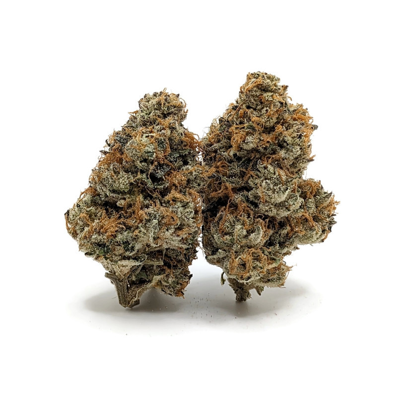 Buy Skunka Rrhea By Prohibition Farms AAAA+ Online in Canada | Bare Cannabis