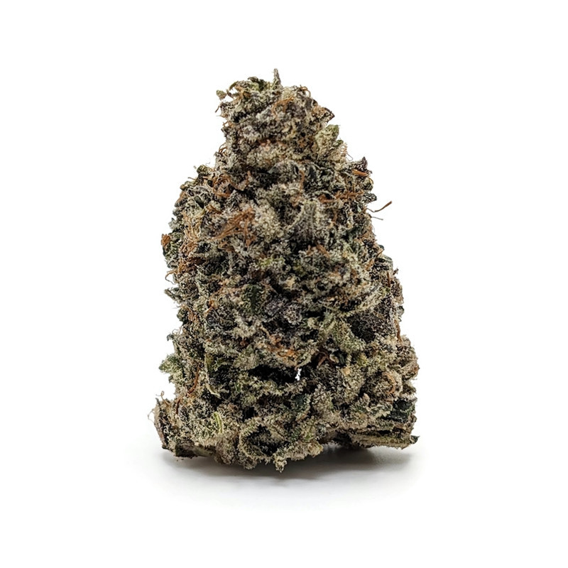 Buy SuperBoof By Prohibition Farms AAAA+ Online in Canada | Bare Cannabis