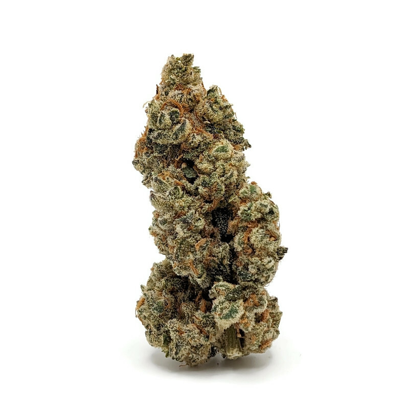 Buy Tiffany OG By Prohibition Farms AAAA+ | Best Weed Online