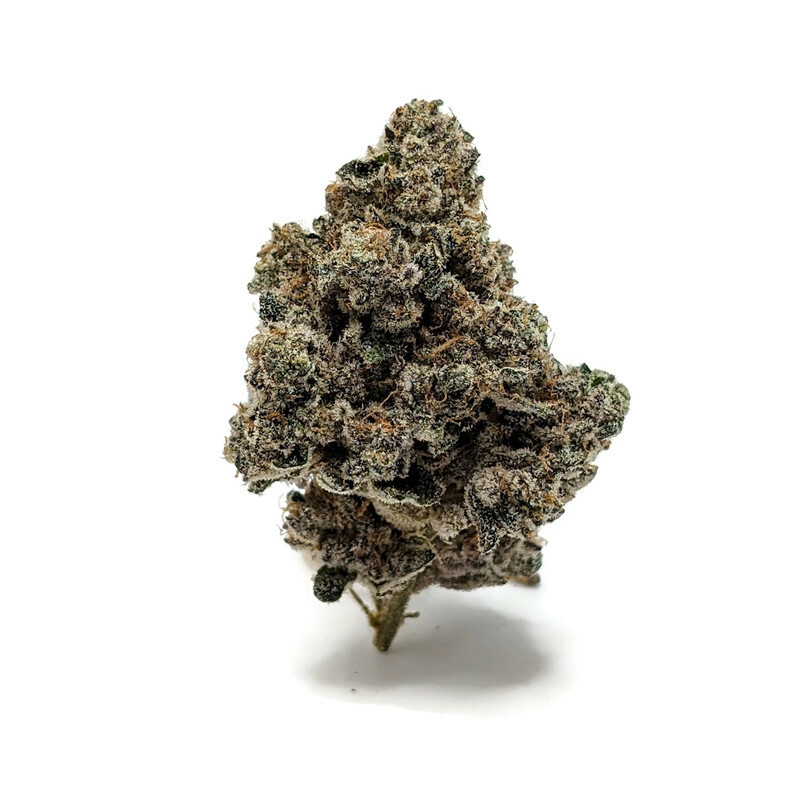 Buy White Gas By Prohibition Farms AAAA+ Online in Canada