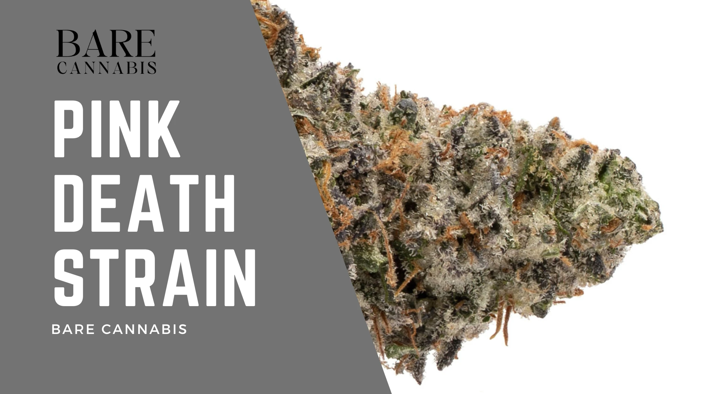 Pink Death Strain: A Comprehensive Guide 2024 | Bare Cannabis