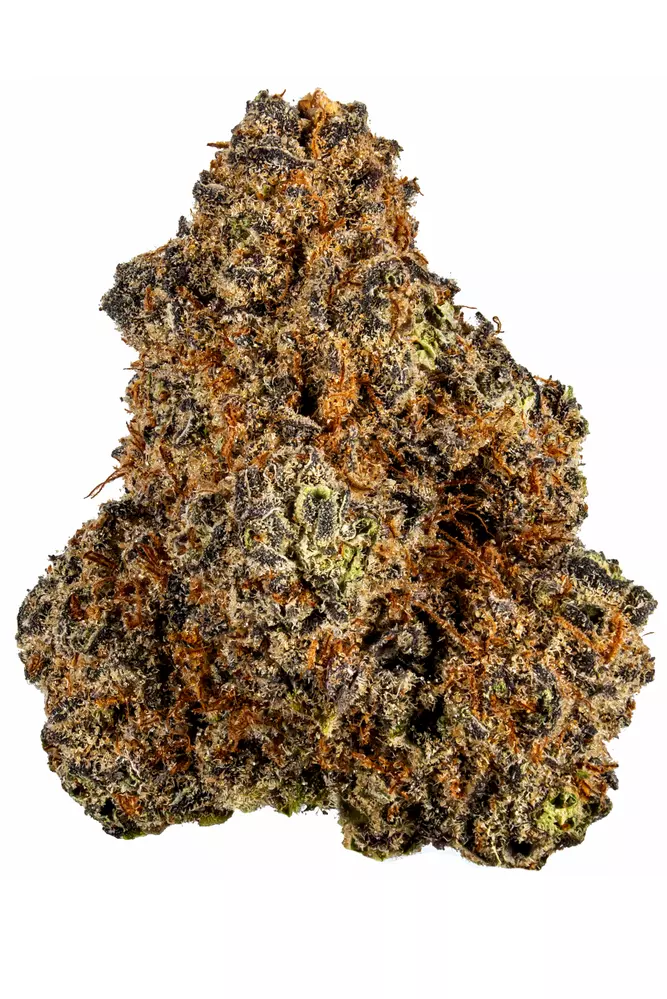 Purple Haze Strain | Weed Strain Complete Information 2024 | Bare Cannabis