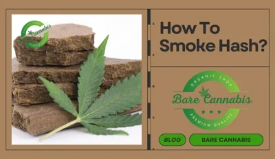 How To Smoke Hash? Step-by-Step Guide For Smoking Hash Guide 2024