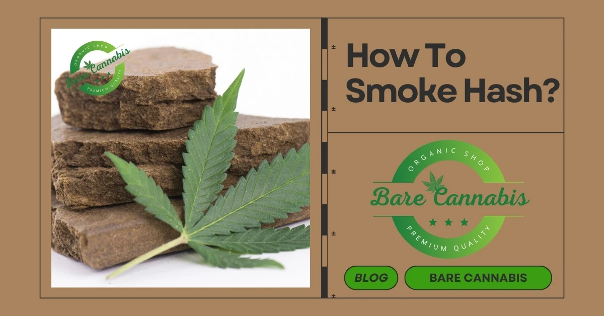 How To Smoke Hash? Step-by-Step Guide For Smoking Hash Guide 2024