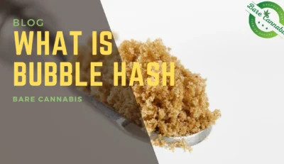 What is Bubble Hash and How is it Made | Best Guide 2024