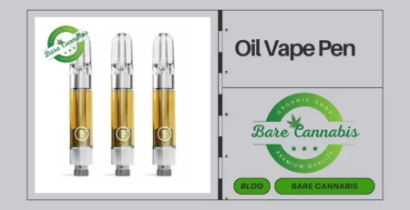 Best Oil Vape Pen | Benefits, Types, Uses | Bare Cannabis 2024