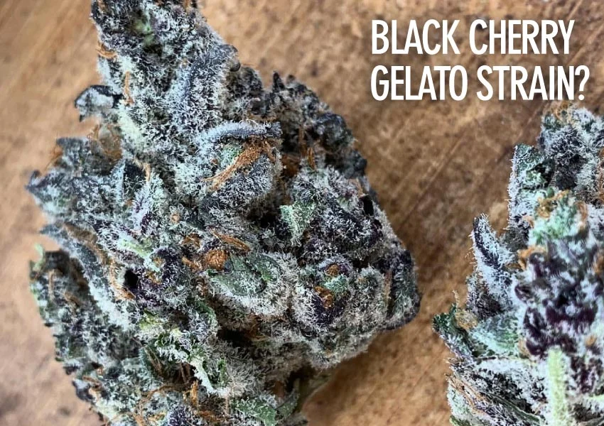 black cherry gelato