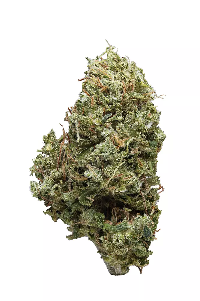 Strawberry Haze Marijuana Strain Complete Information & Effects 2024