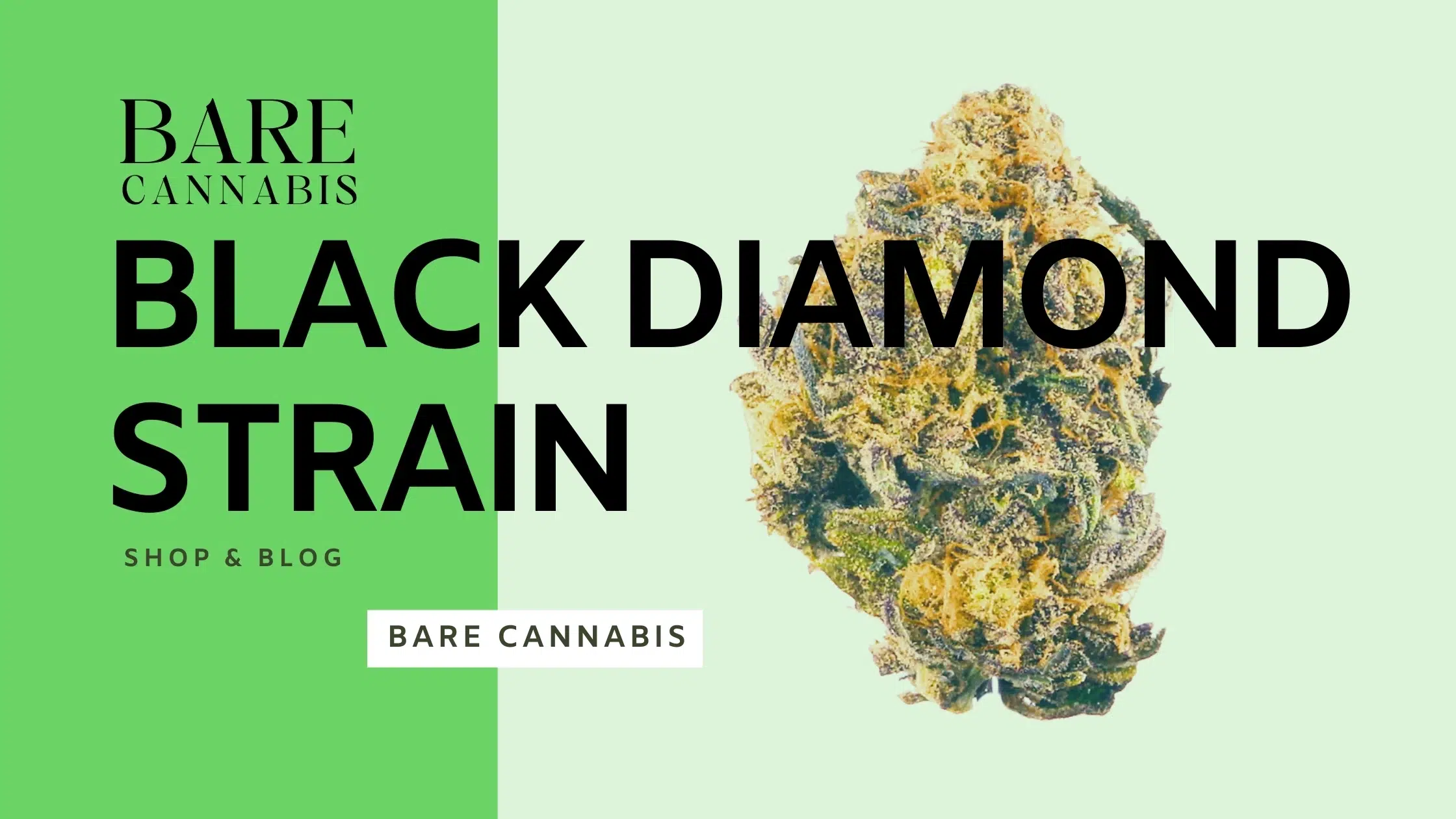 Black Diamond Strain Complete Information 2024 | Bare Cannabis