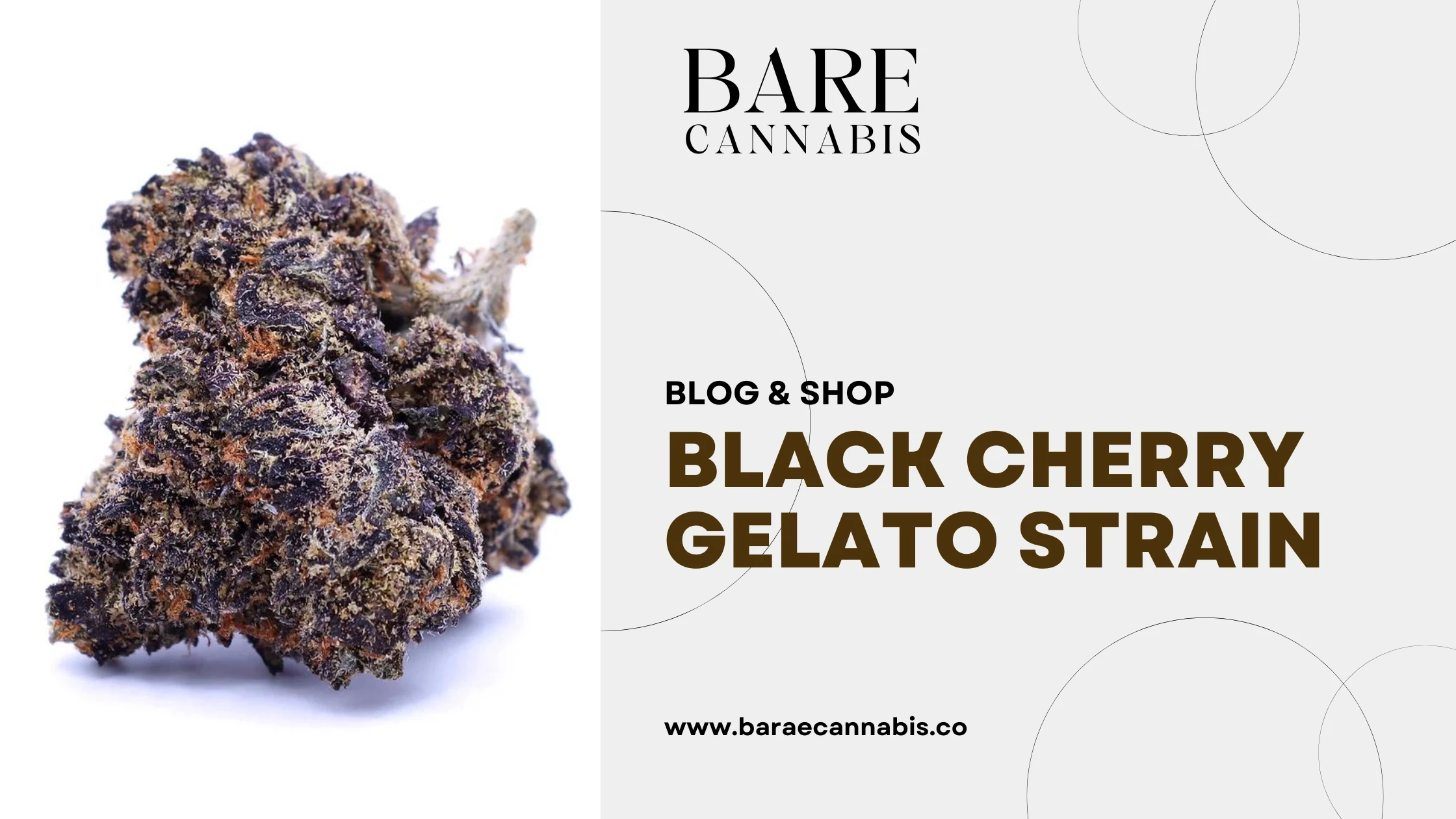 Black Cherry Gelato Strain Complete Information 2024