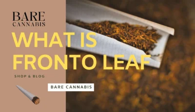 What is Fronto Leaf? Best Guide 2024 | Bare Cannabis