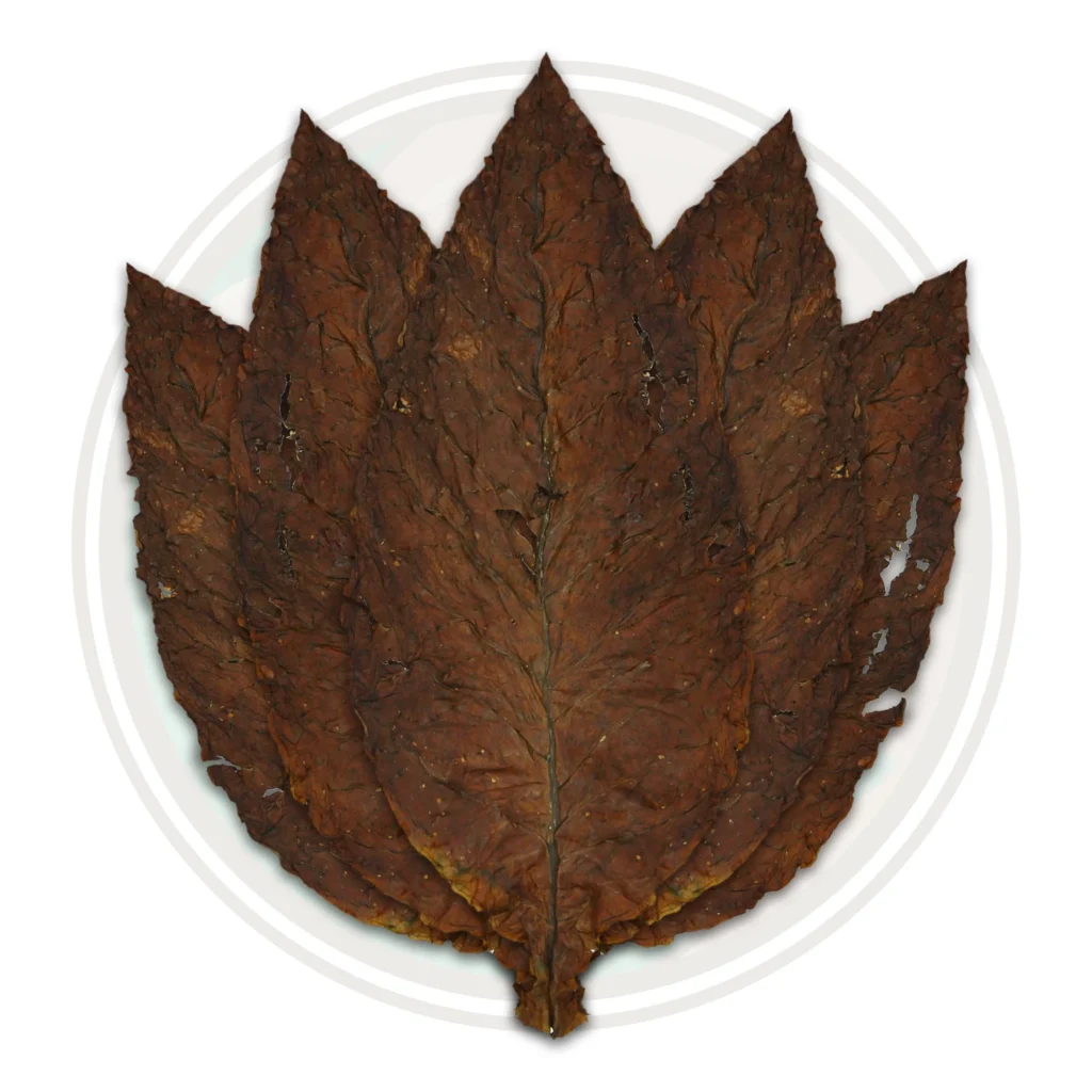 What is Fronto Leaf