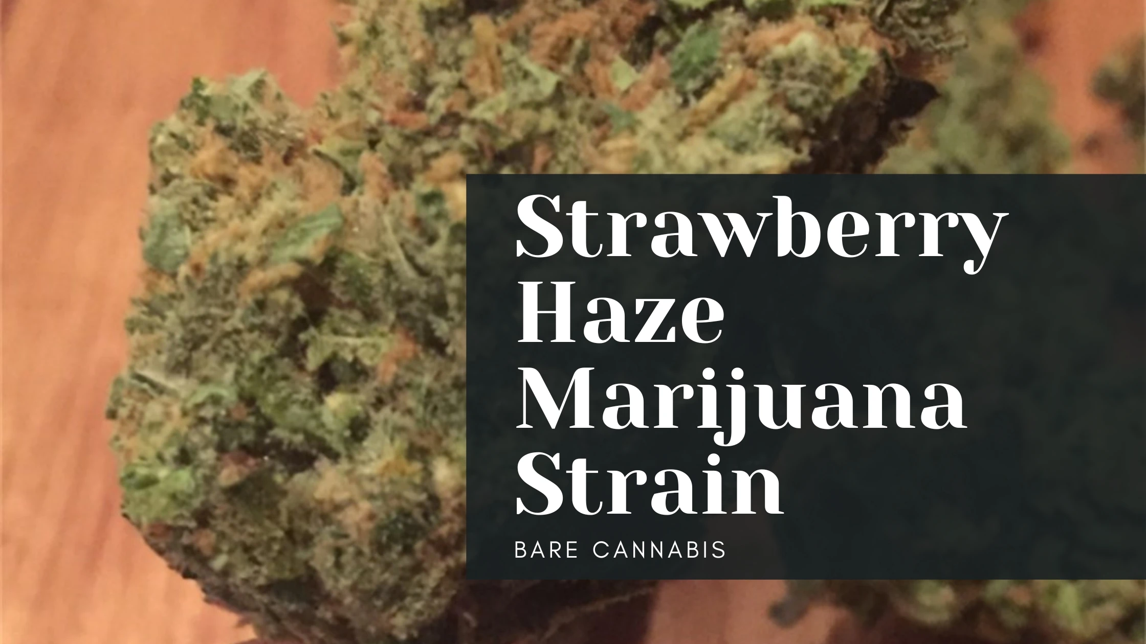 Strawberry Haze Marijuana Strain Complete Information & Effects 2024