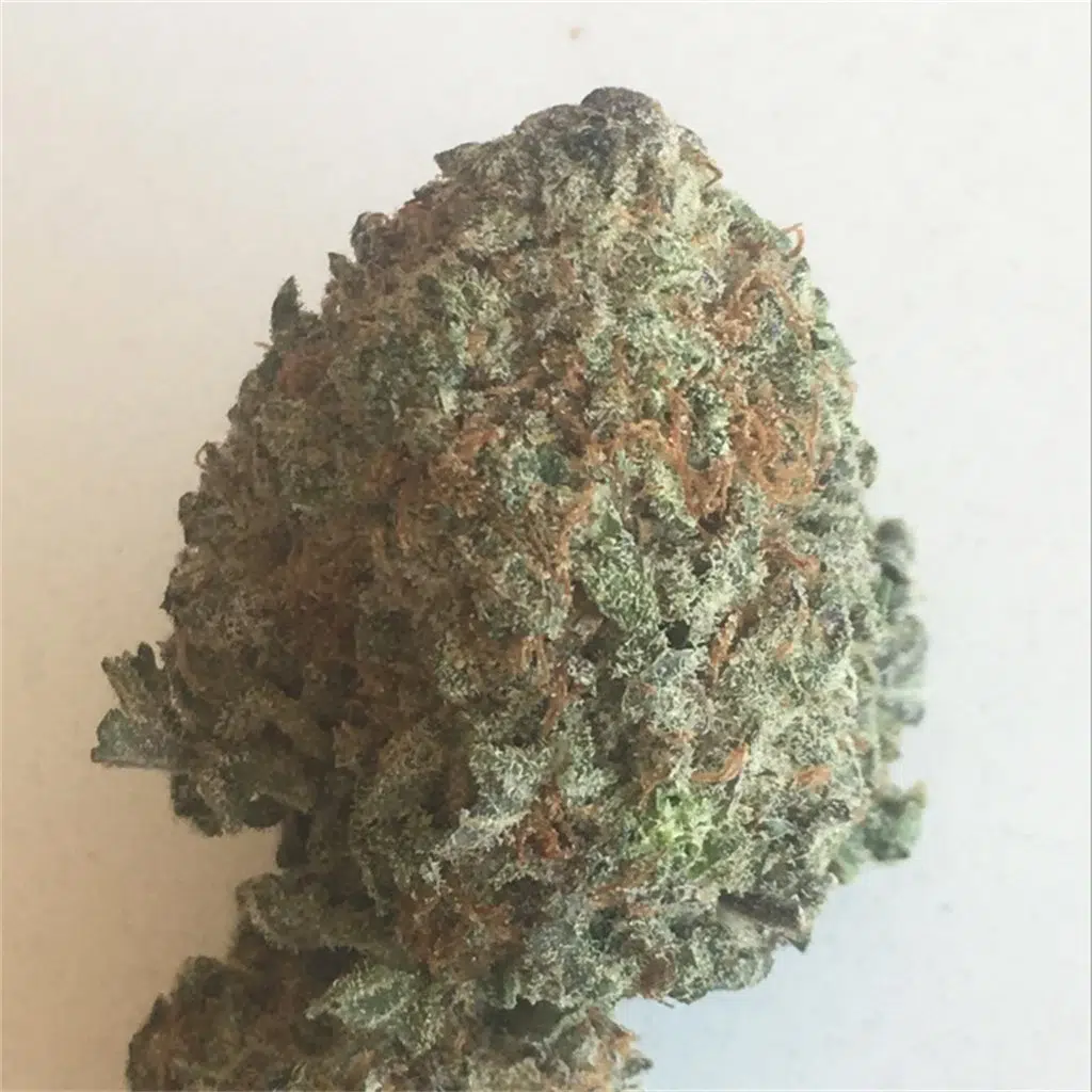 diamond strain